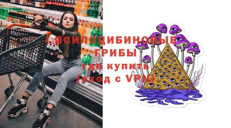 shop наркотические препараты  мега вход  Кукмор  закладка  Галлюциногенные грибы Psilocybe 